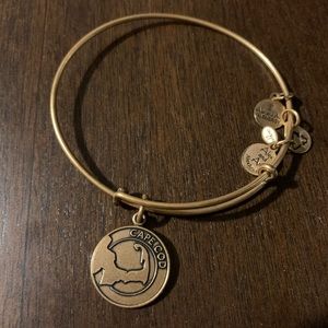 Alex and Ani Cape Cod bracelet